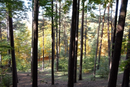 2010_10_klettern_01