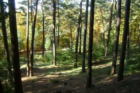 2010_10_klettern_18