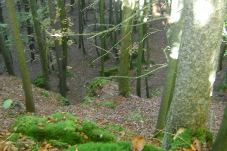 2010_10_klettern_24