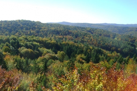 2010_10_klettern_63