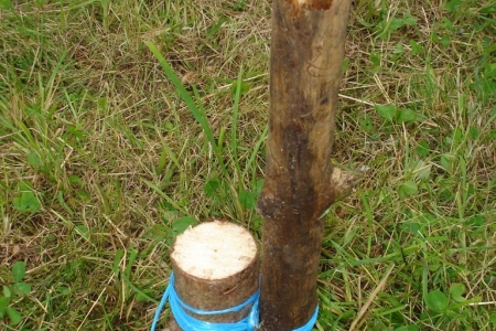 2011_08_camp_weilheim_015