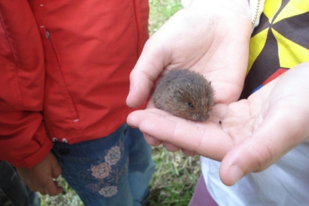 2011_08_camp_weilheim_020