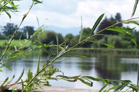 2011_08_camp_weilheim_052