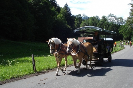 2011_08_camp_weilheim_152