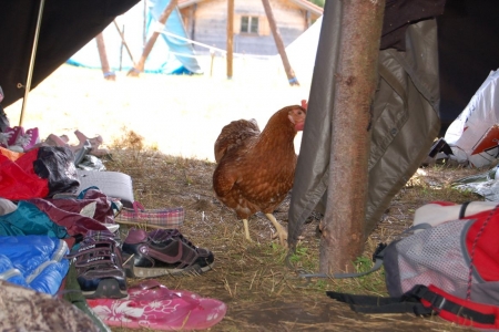 2011_08_camp_weilheim_183