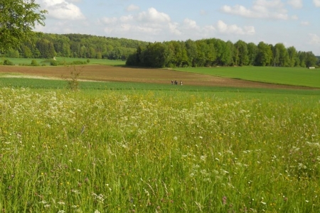 2010_05_pfingstcamp_198