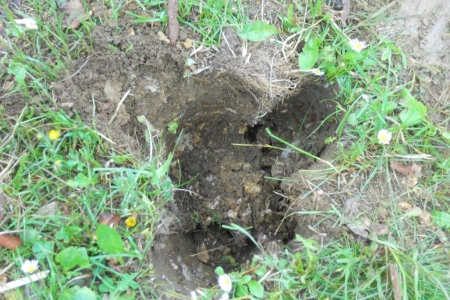 2010_05_pfingstcamp_236