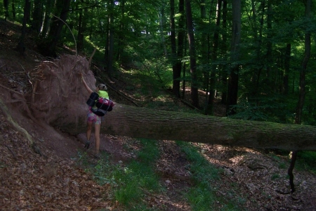 2013_08_seefahrer_camp_078