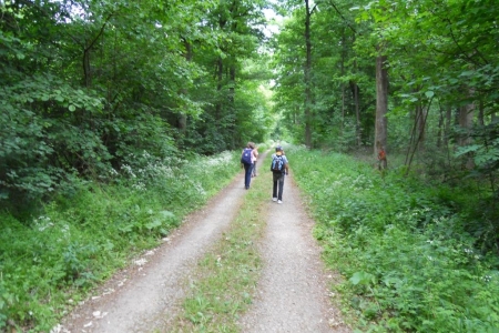2011_03_sponsorenlauf_12