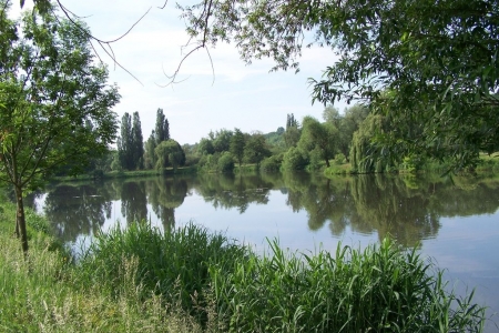 2011_03_sponsorenlauf_18