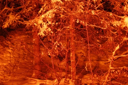 2010_12_10_adventsfeier_32