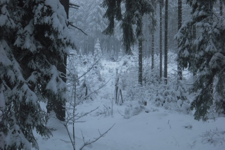 2010_01_winter_in_bayreuth_19