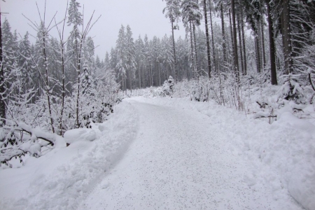2010_01_winter_in_bayreuth_24